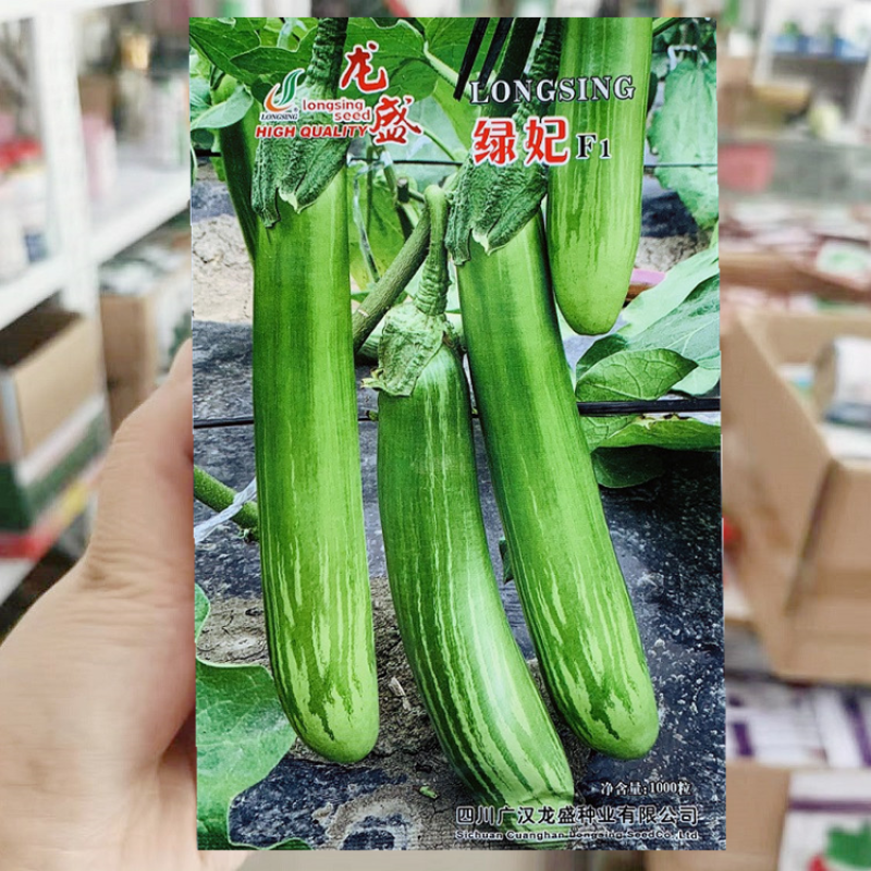 龙盛绿妃茄子种子绿美人茄子早熟杂交一代油绿光亮绿长茄子种