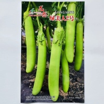 龙盛绿美人2号茄子种子肉淡绿绿萼绿色长茄种子春夏秋长条青