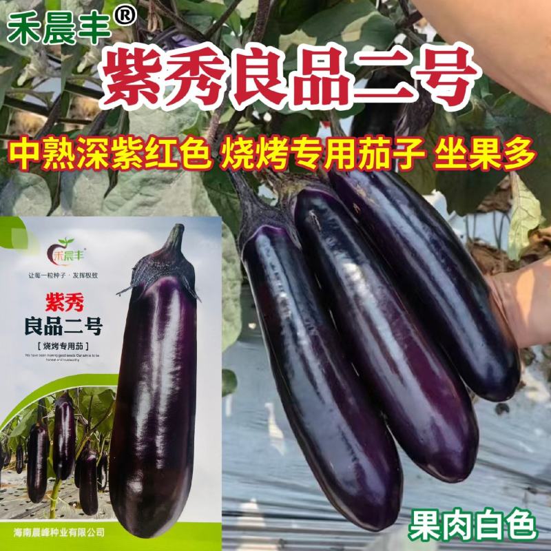 紫秀良品二号茄子种子新品烧烤茄种子中熟深紫红长茄种籽白肉
