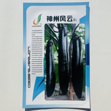 龙盛神州风云茄子种子油黑长条型茄子种籽果肉淡绿口感好长茄
