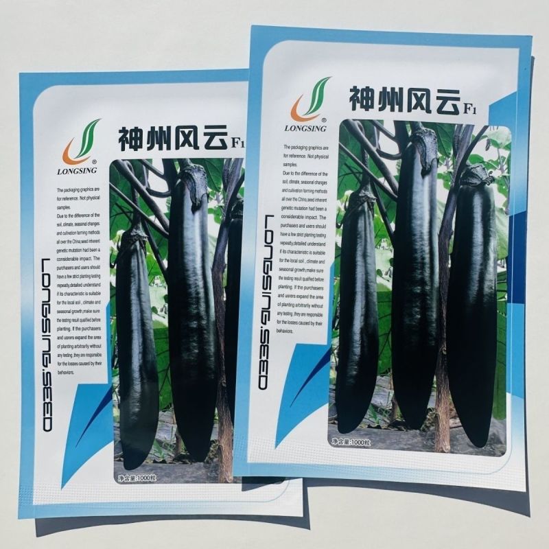 龙盛神州风云茄子种子油黑长条型茄子种籽果肉淡绿口感好长茄