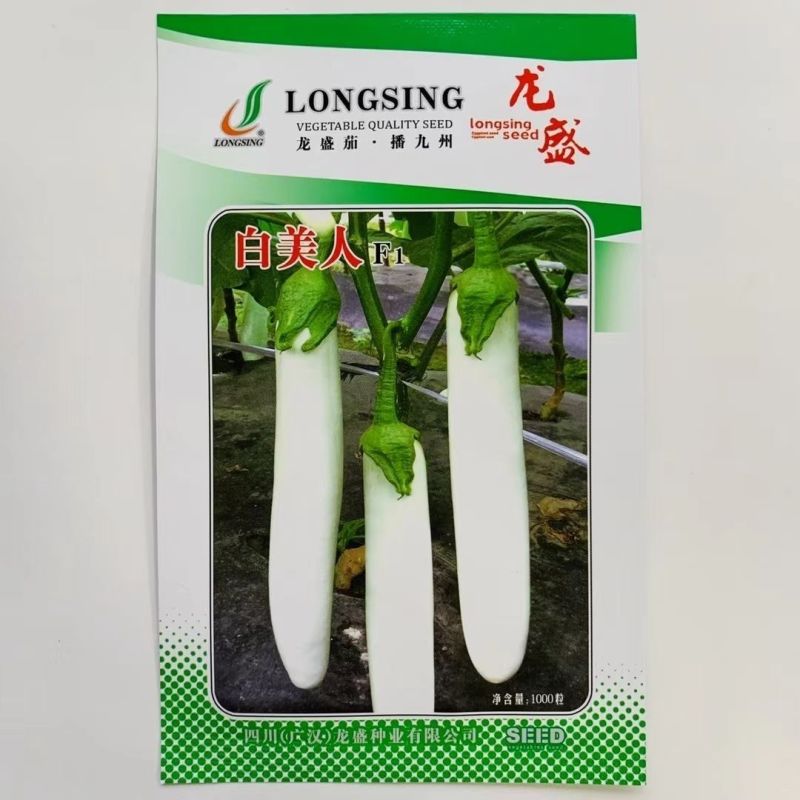 龙盛白美人早熟茄子种子果面雪白光亮果肉淡绿白色春秋种植