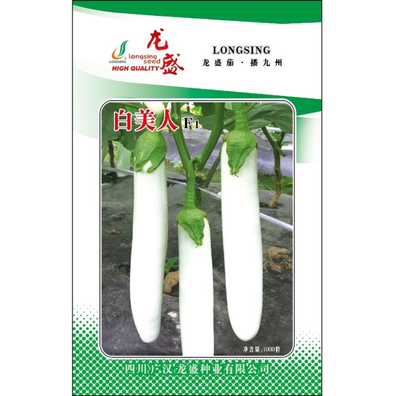 龙盛白美人早熟茄子种子果面雪白光亮果肉淡绿白色春秋种植