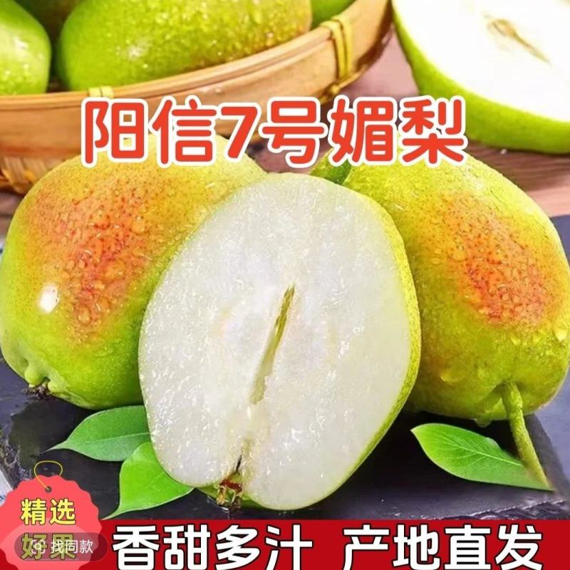 山东阳信媚梨七号基地直供甘甜无渣质量保证对接商超市场