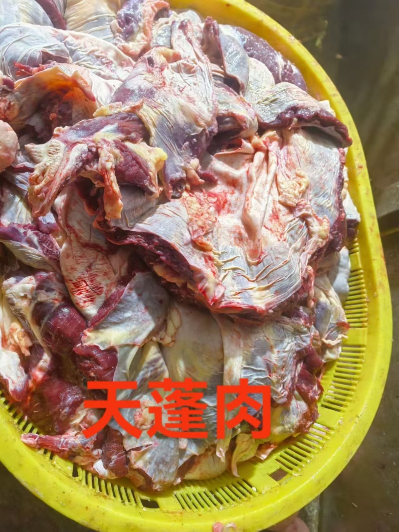 牛护心肉：内蒙草原黄牛的天蓬肉！纯干货速冻装箱，量大电联