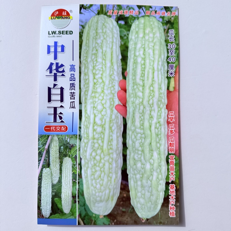 白玉苦瓜种子优选中华白苦瓜种子大田用种基地专用苦瓜种子