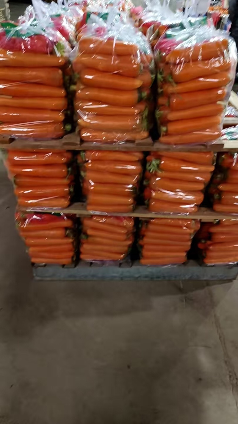 水洗胡萝卜品质保证对接电商一手货源大量有货欢迎