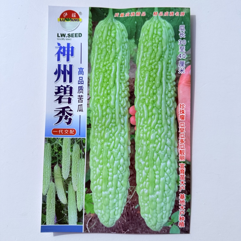 苦瓜种子白苦瓜中华白玉苦瓜种子白凉瓜耐热苦瓜种籽基地专用