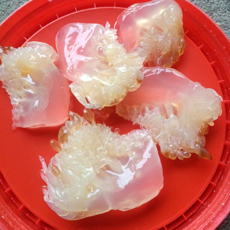 精品海蜇短花，桶装.净货重10.5斤.硬度干度非常好