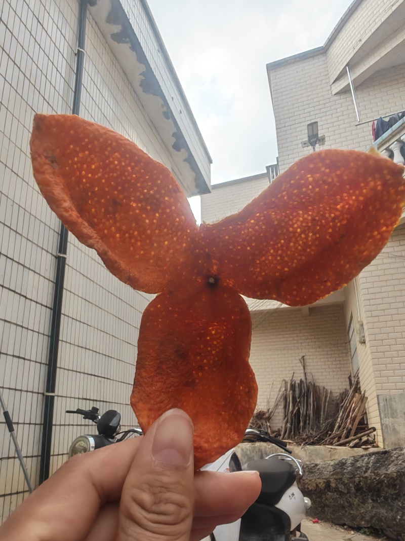 （二年）二红陈皮，飘香四溢，香气十足。