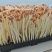 精品花生芽大量供应，品质保证，量大从优，可视频看货，诚信经营
