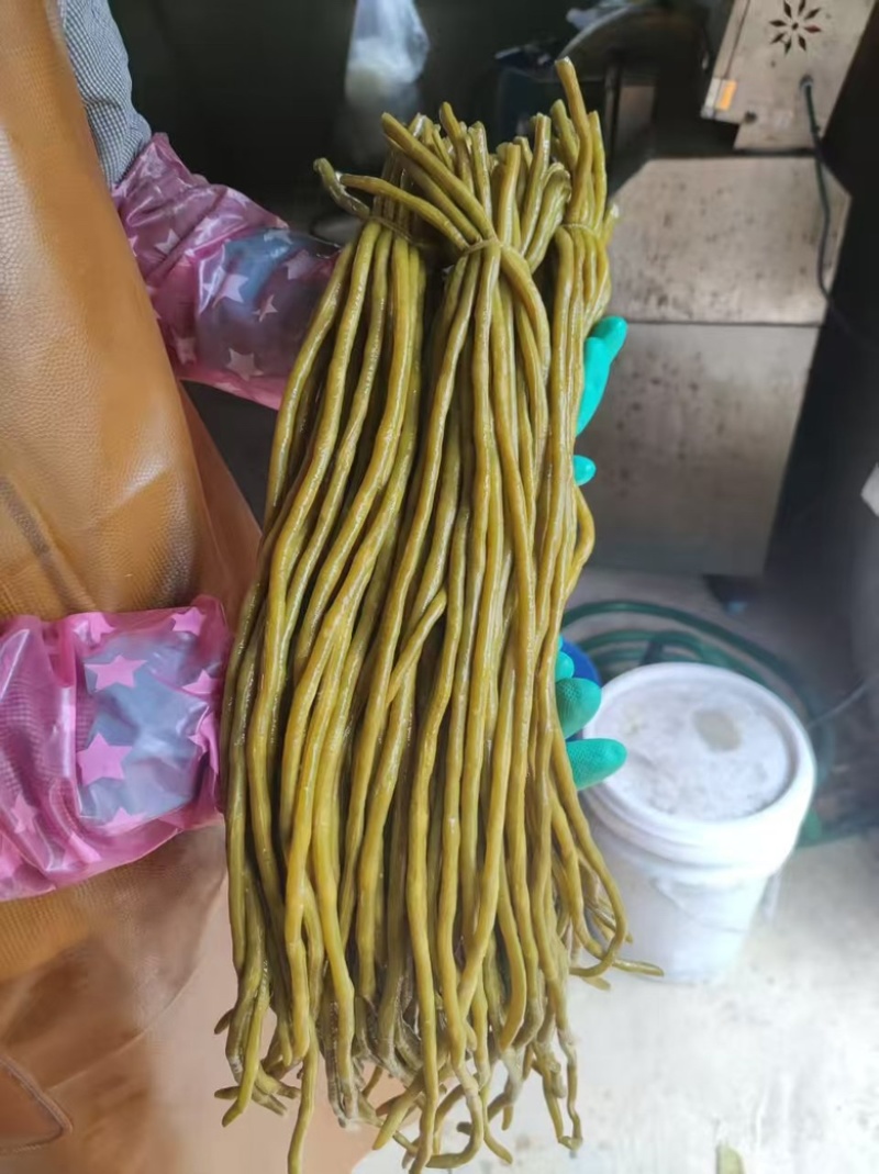酸豆角大量供应，一手货源，保质保量，可视品验货