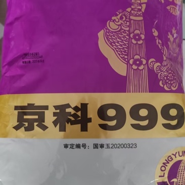 京科999