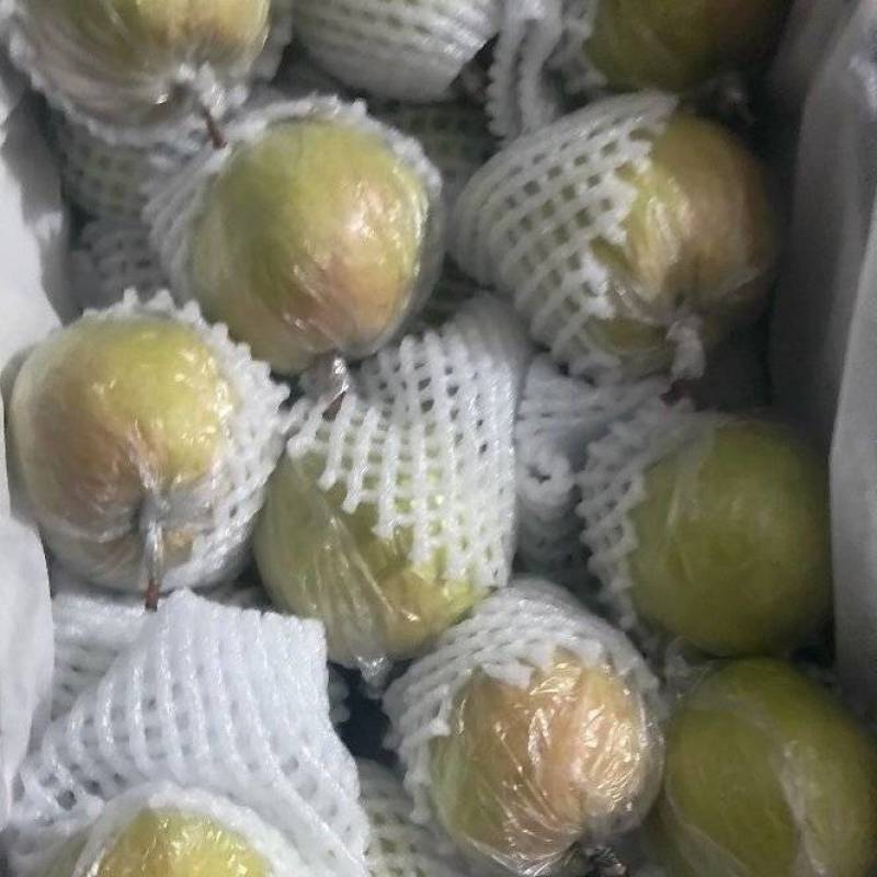隰县玉露香梨