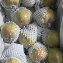 隰县玉露香梨