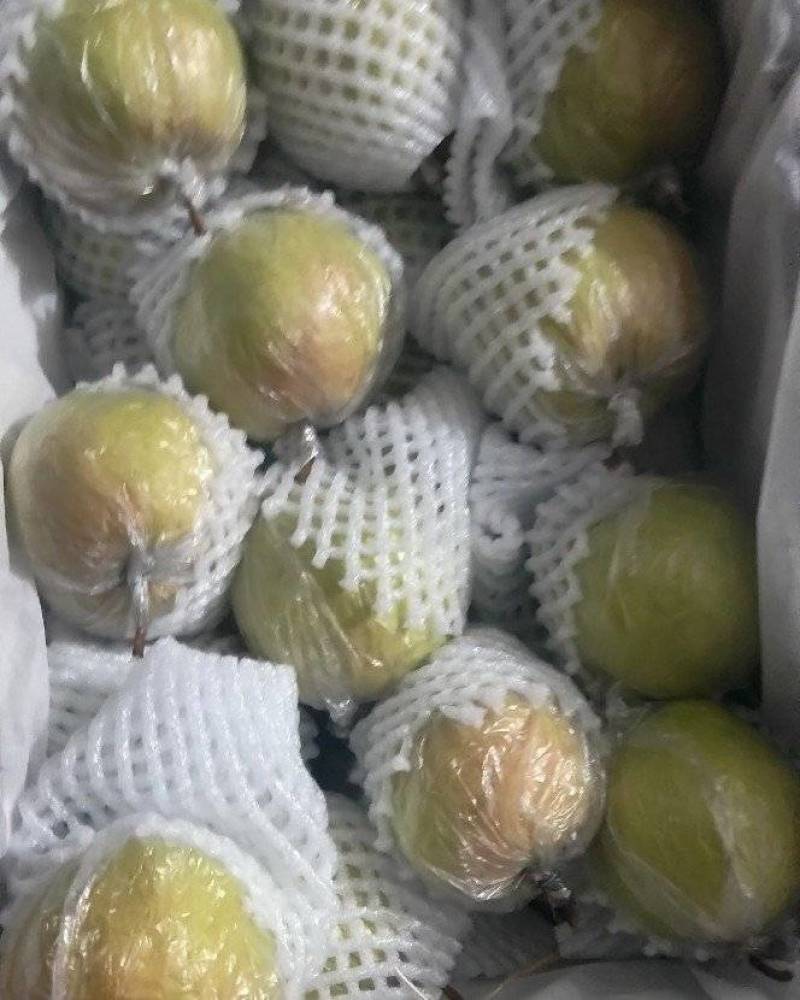 隰县玉露香梨