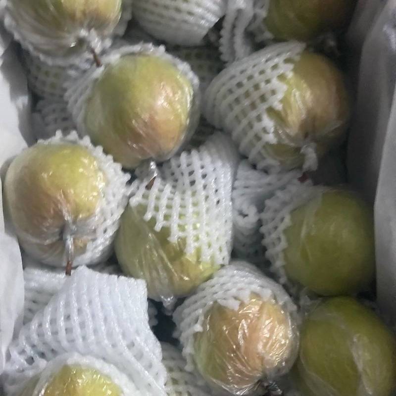 隰县玉露香梨