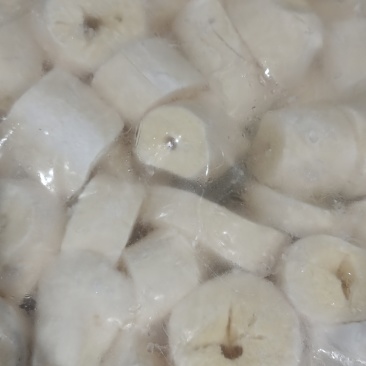 黄心木薯
