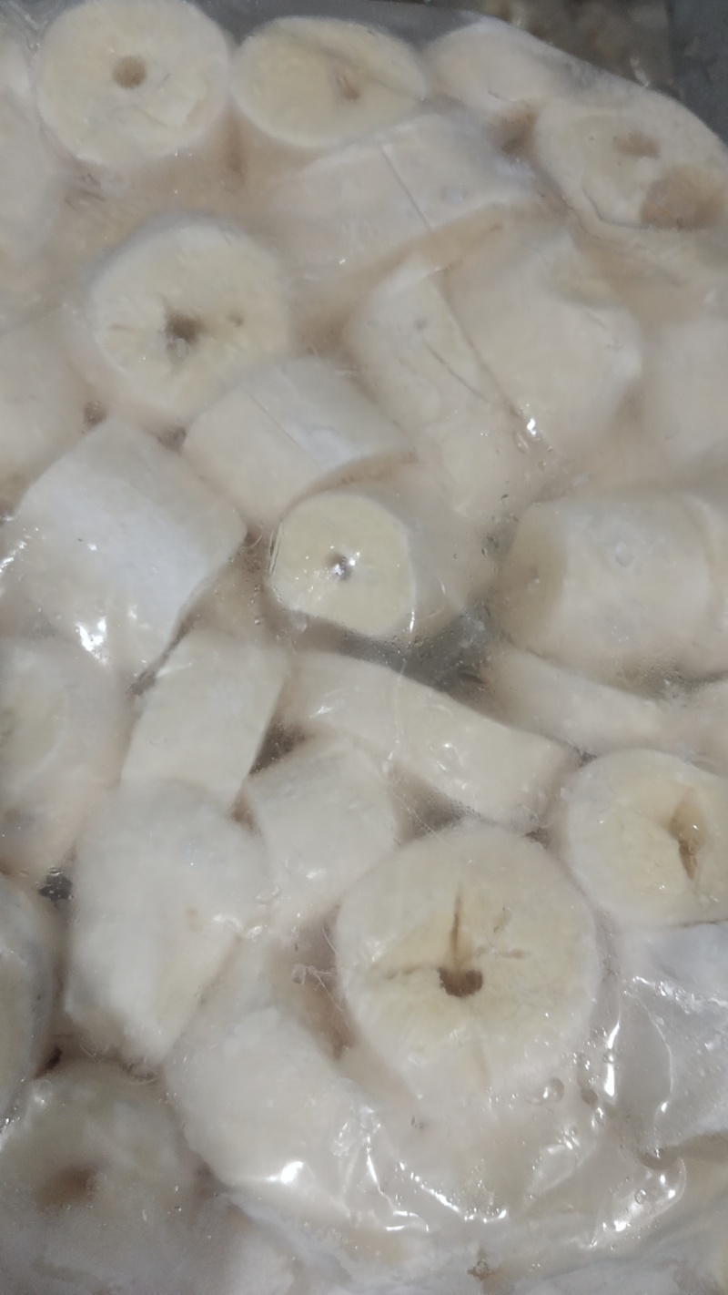黄心木薯