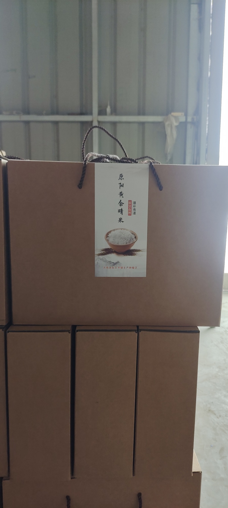 原阳黄金晴大米从种植到收割加工大米，盐碱地种植，黄河水灌