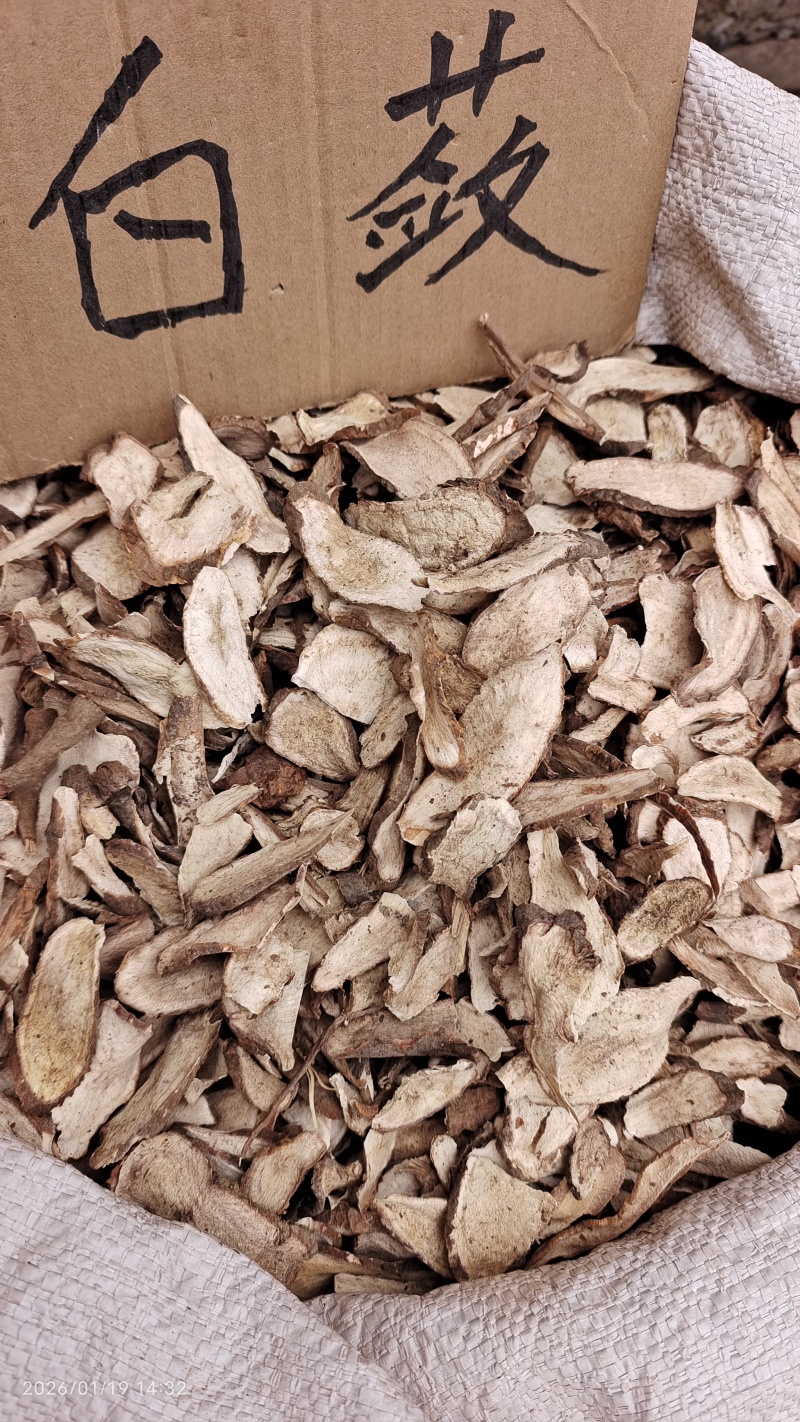 白蔹湖北干货切片量大从优欢迎选购