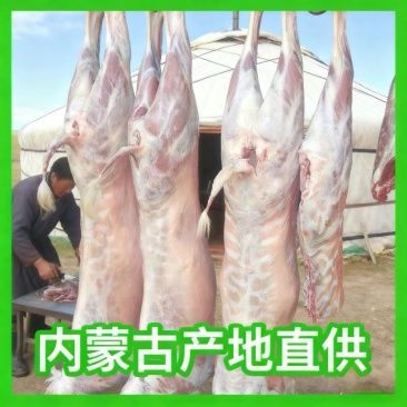 内蒙古产地直销整只羊白条羊新鲜草原放养羊