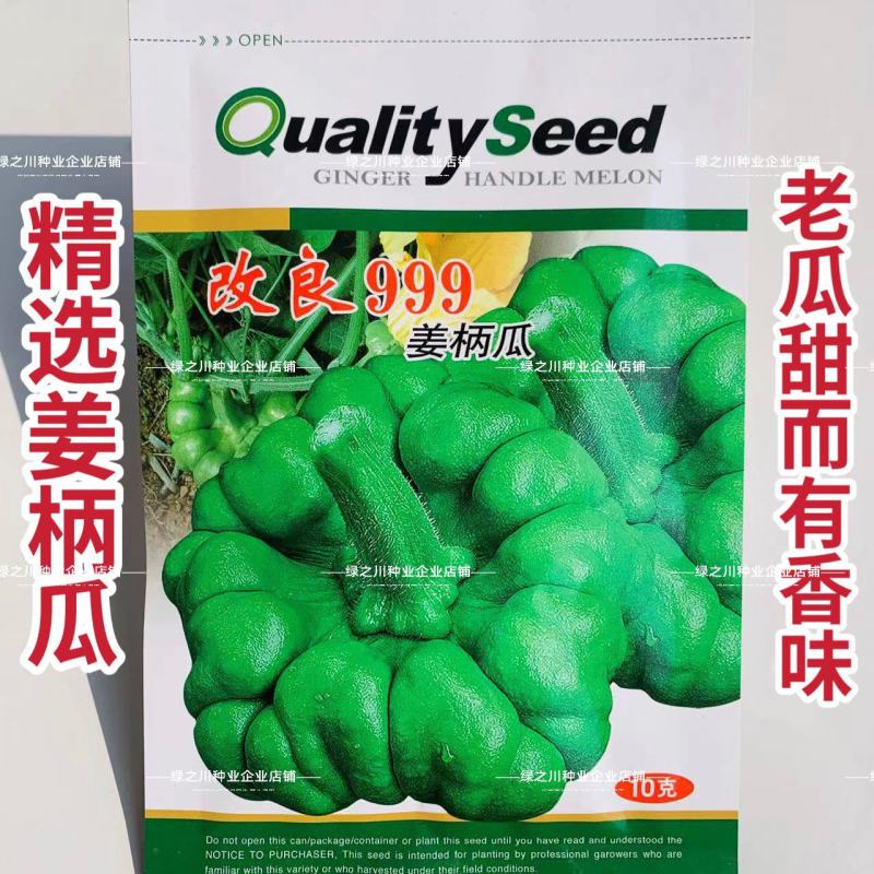 姜饼瓜南瓜种子云南姜柄瓜种子优质柿饼南瓜种籽嫩南瓜种子