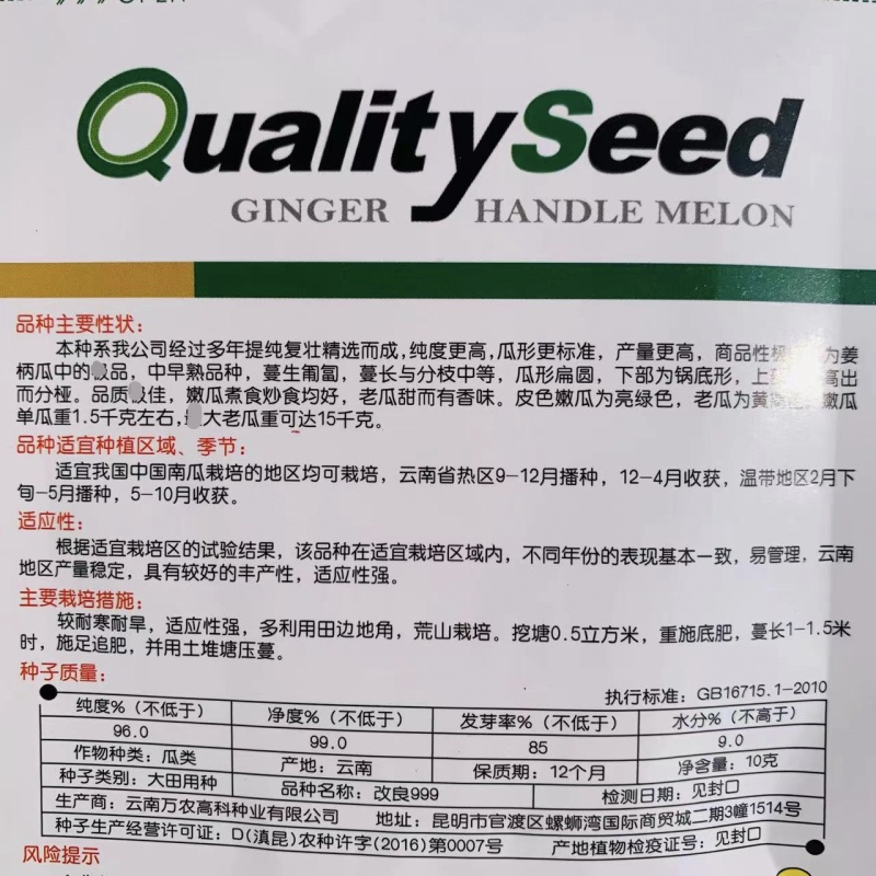 姜饼瓜南瓜种子云南姜柄瓜种子优质柿饼南瓜种籽嫩南瓜种子