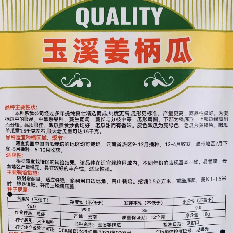 姜饼瓜南瓜种子云南姜柄瓜种子优质柿饼南瓜种籽嫩南瓜种子