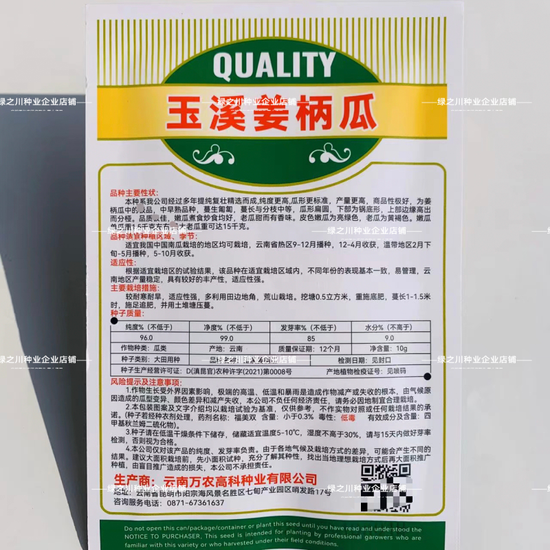 姜饼瓜南瓜种子云南姜柄瓜种子优质柿饼南瓜种籽嫩南瓜种子