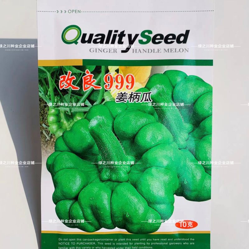 姜饼瓜南瓜种子云南姜柄瓜种子优质柿饼南瓜种籽嫩南瓜种子