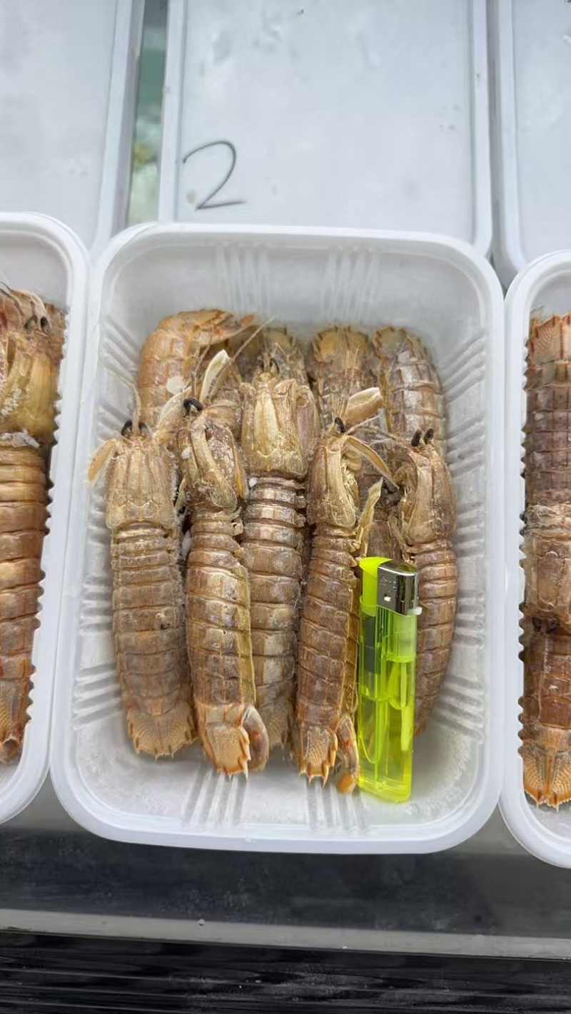 皮皮虾肉质饱满皮皮虾