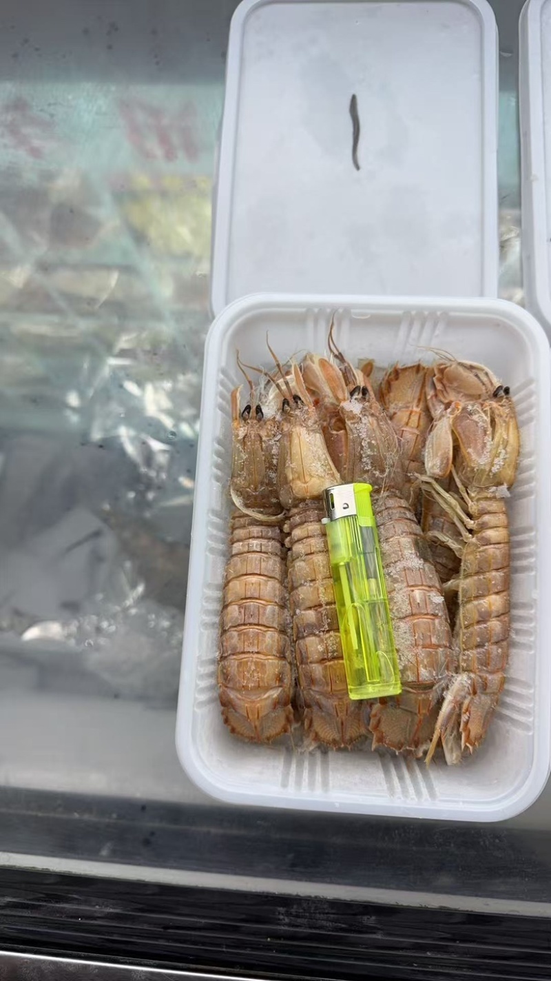 皮皮虾肉质饱满皮皮虾