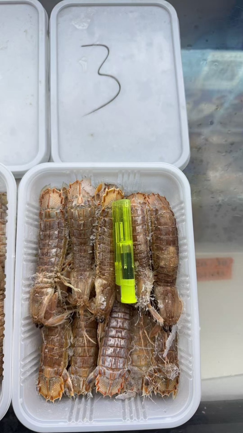 皮皮虾肉质饱满皮皮虾
