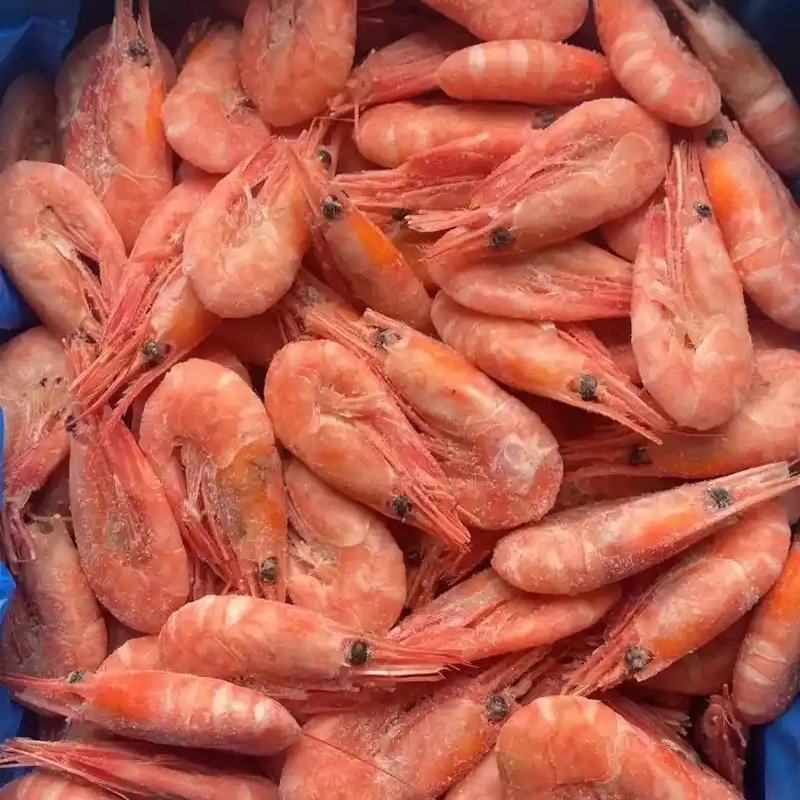 北极甜虾山东腾惠将成为更多客户的选择