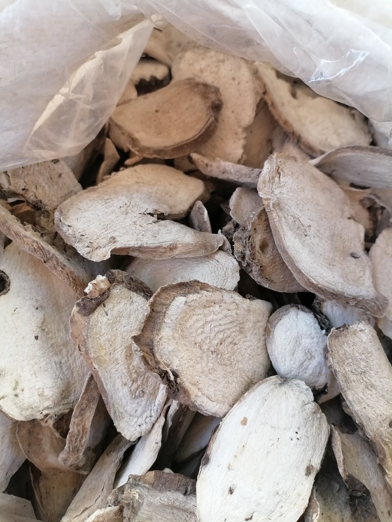 广东入地老鼠干货入地老鼠干货紫茉莉根干货