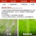 绿霸畅潇20%氯虫苯甲酰胺氯虫水稻稻纵卷叶螟正品农用农