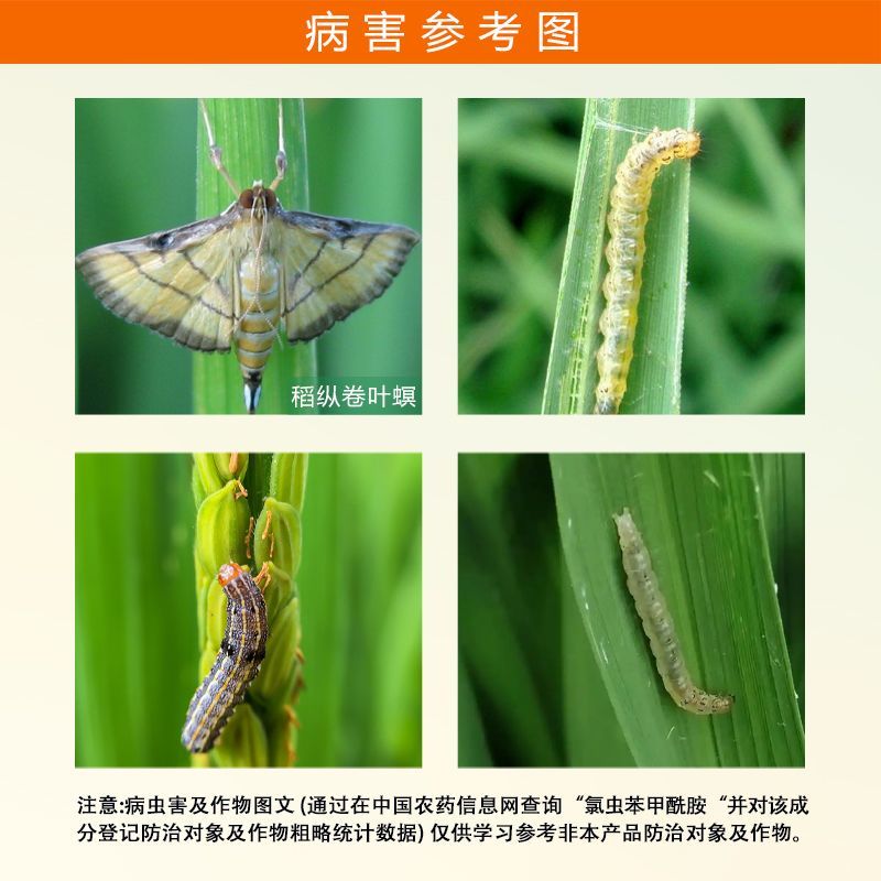 绿霸畅潇20%氯虫苯甲酰胺氯虫水稻稻纵卷叶螟正品农用农
