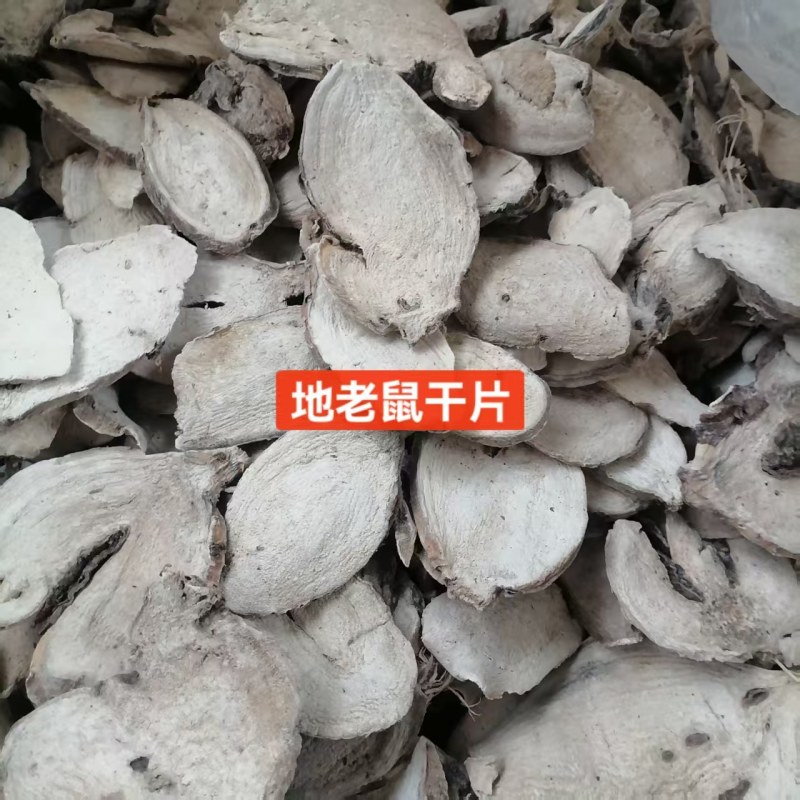 广东入地老鼠干货入地老鼠干货紫茉莉根干货