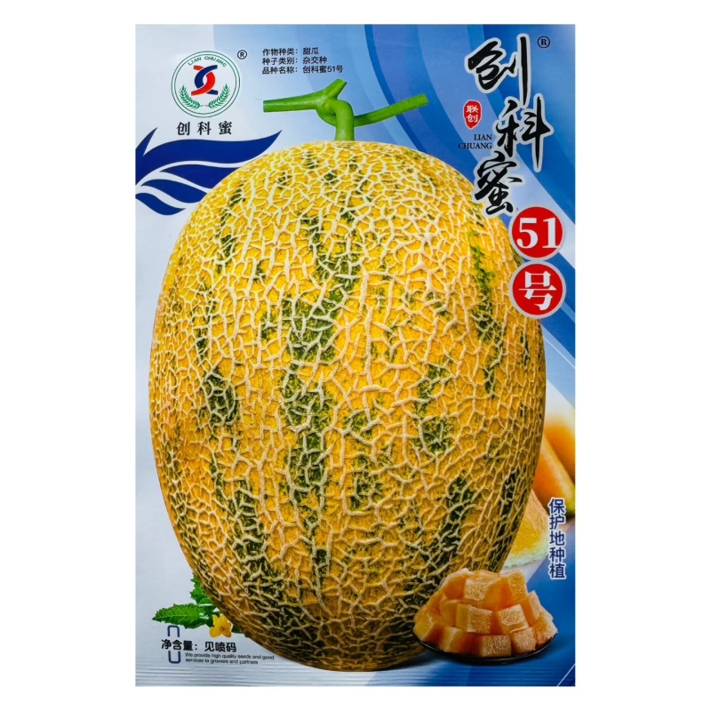 创科蜜51号早熟杂交一代哈蜜甜瓜果实椭圆型含糖可达