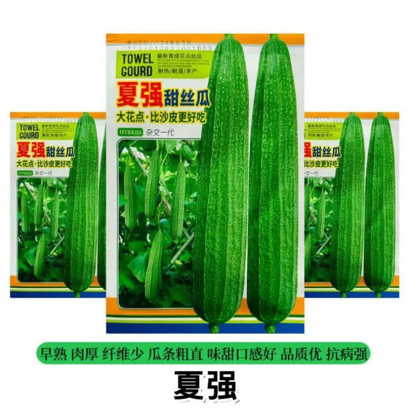 夏强甜丝瓜种子花点丝瓜种籽甜脆棱角丝瓜种蔬菜种子原