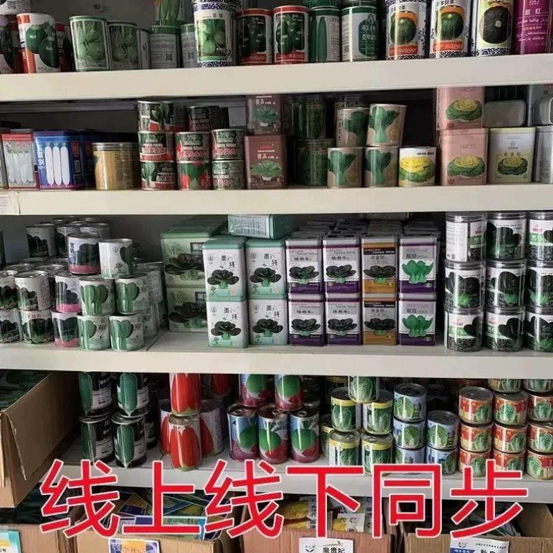 夏强甜丝瓜种子花点丝瓜种籽甜脆棱角丝瓜种蔬菜种子原