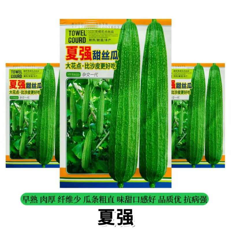 夏强甜丝瓜种子花点丝瓜种籽甜脆棱角丝瓜种蔬菜种子原