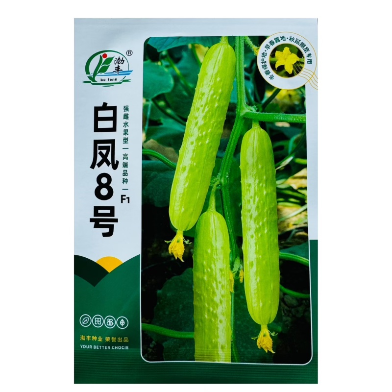 萃峰白玉黄瓜种子清香脆嫩水果黄瓜种子强雌高产春秋种植蔬菜