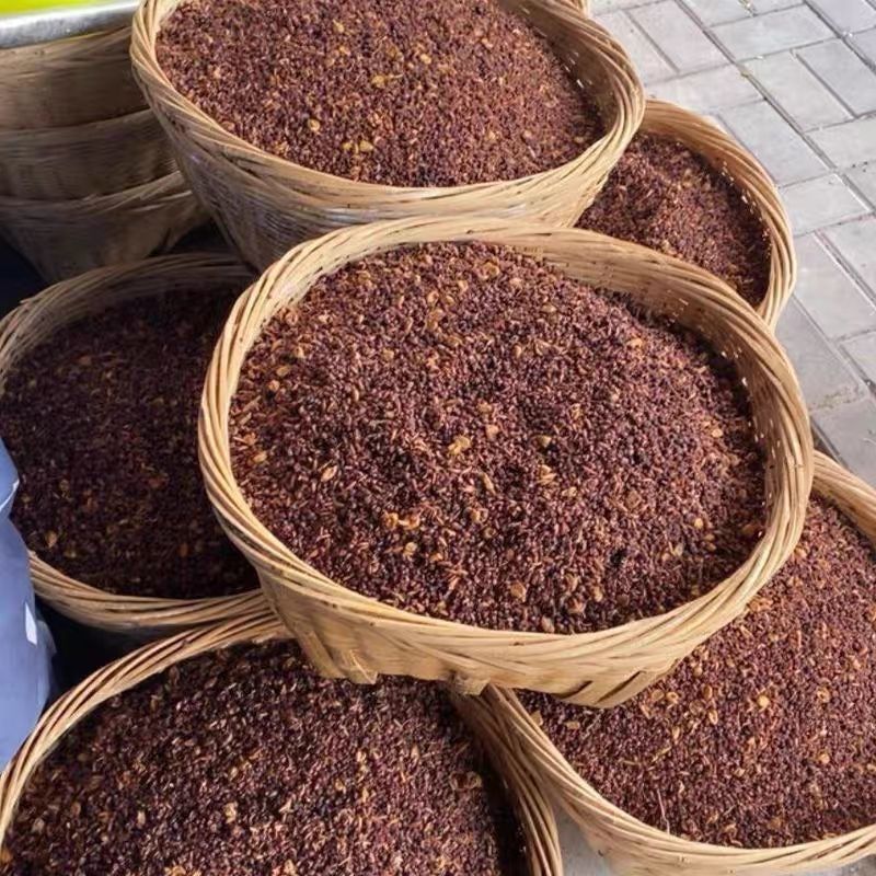酒糟纯高粱酒厂酒糟批发钓鱼喂鸡鸭鹅喂猪喂牛羊饲料湿气去湿