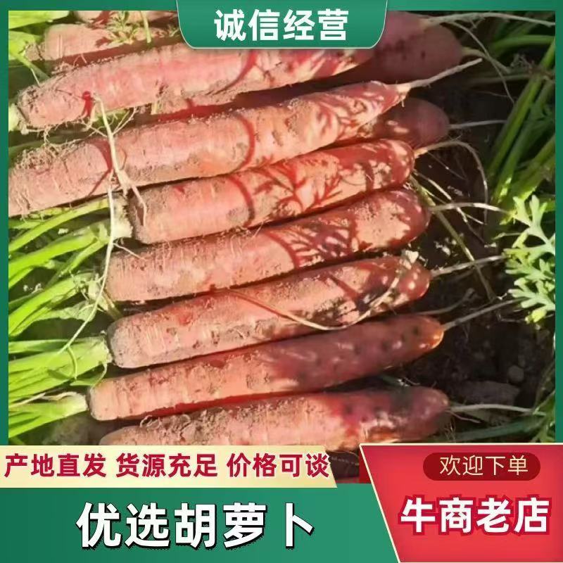 【实力商家】产地直发【诚信经营】保质保量【超市直供】胡萝