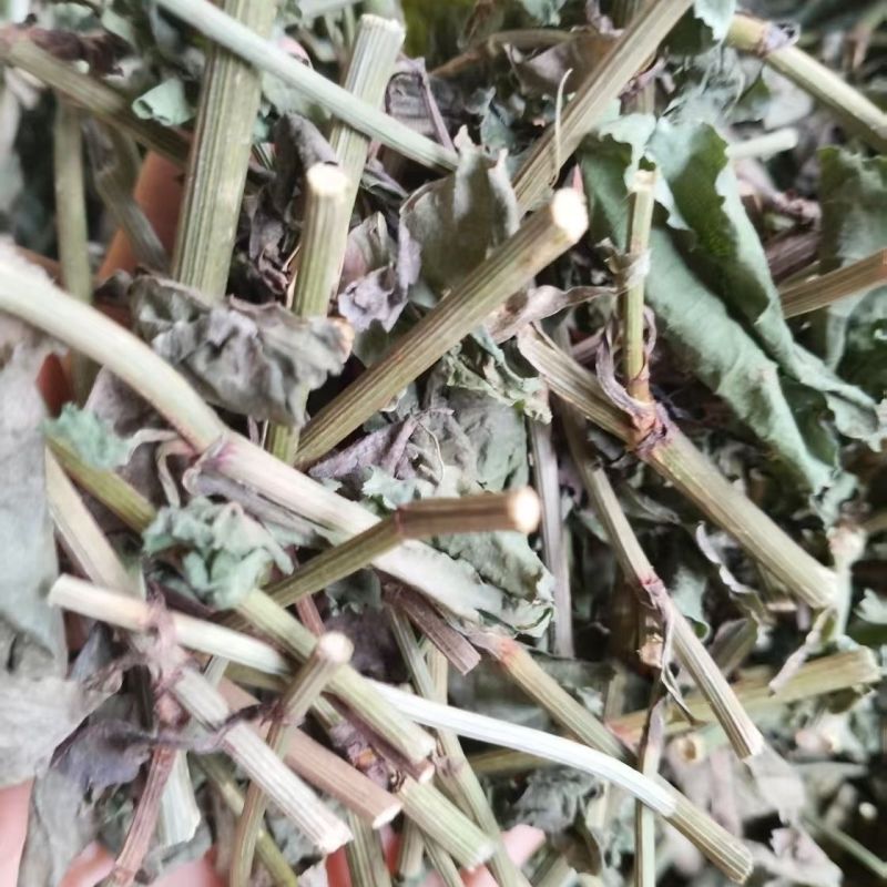 正宗白花丹