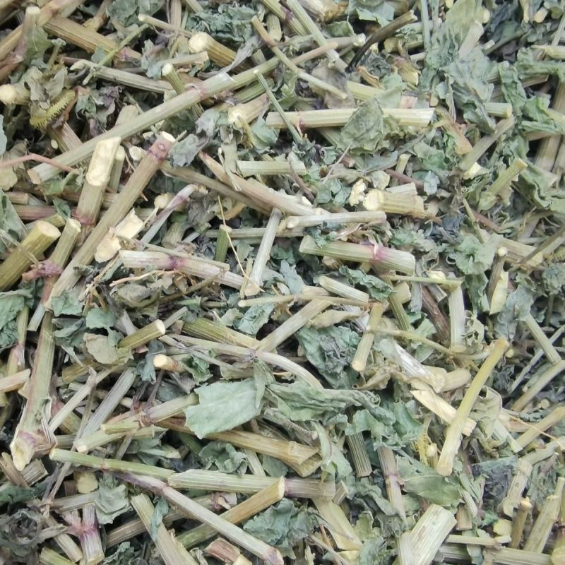 正宗白花丹