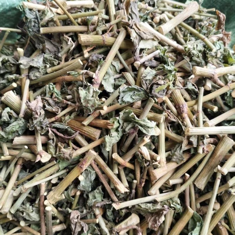 正宗白花丹