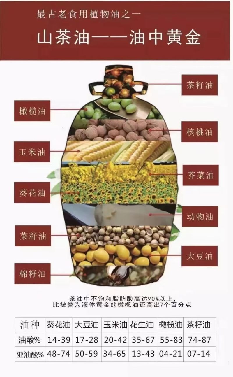 正宗农家山茶油